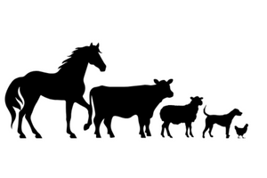 Farm Animals; Horse, Cow, Sheep, Dog and chicken silhouette