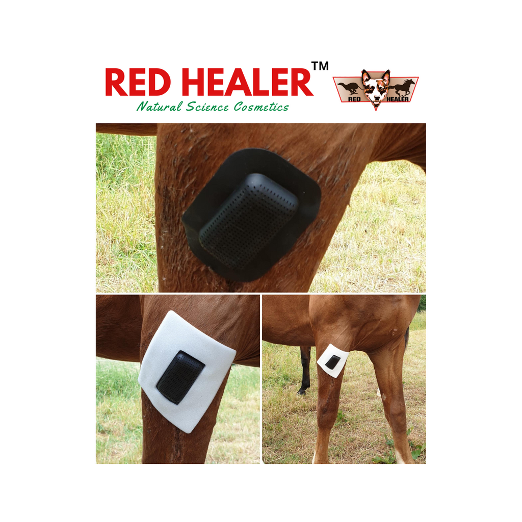 Large band-aids (Two Pack)