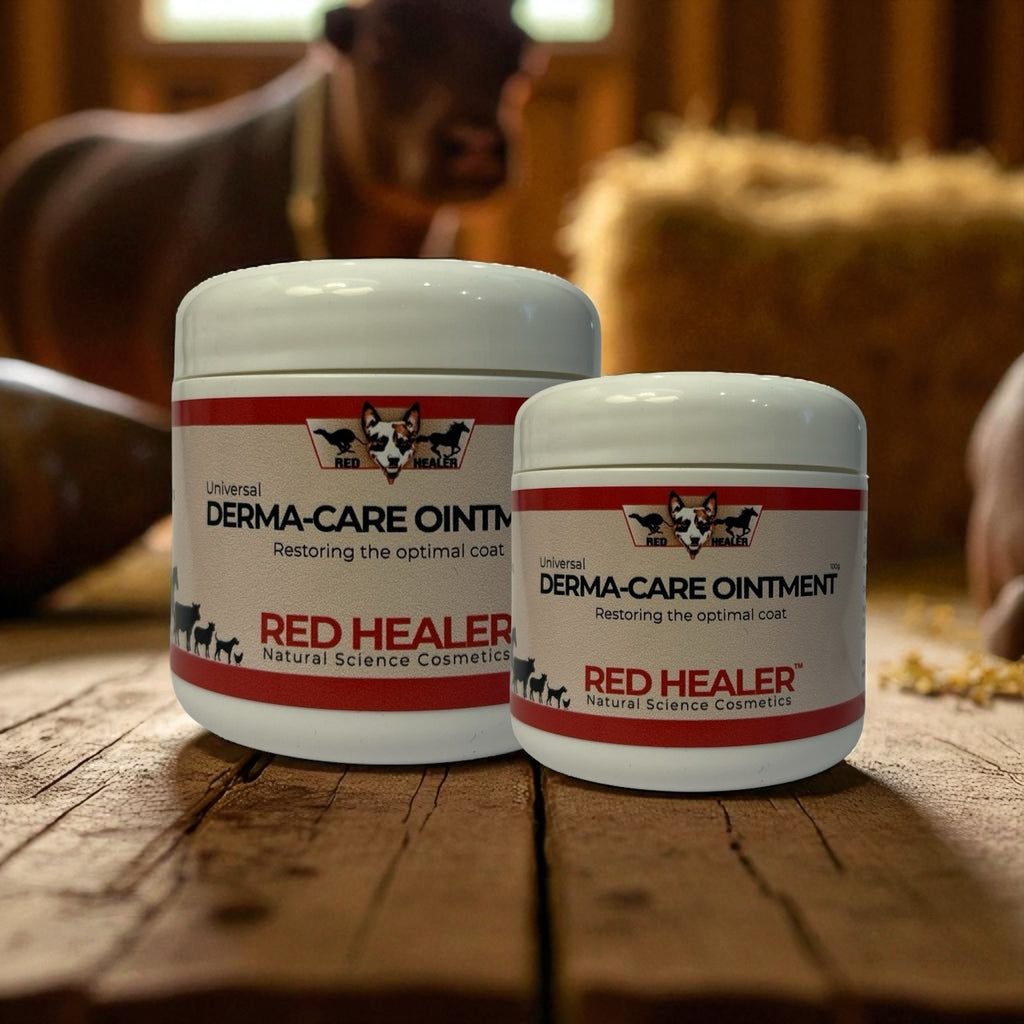 Universal Derma-Care Ointment 100g